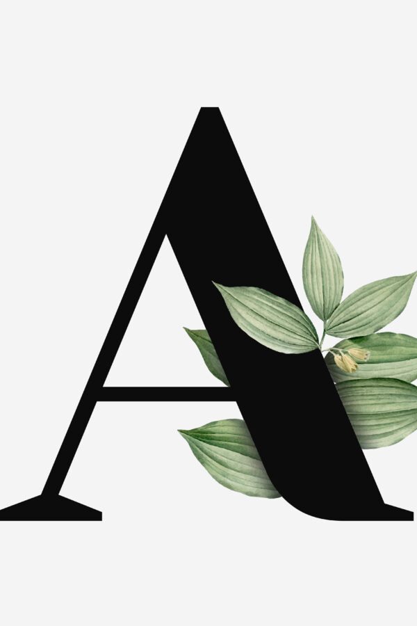 Objeto com A: Exemplos, Lista e Curiosidades sobre Palavras com A