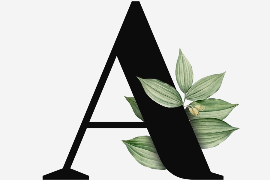 Objeto com A: Exemplos, Lista e Curiosidades sobre Palavras com A