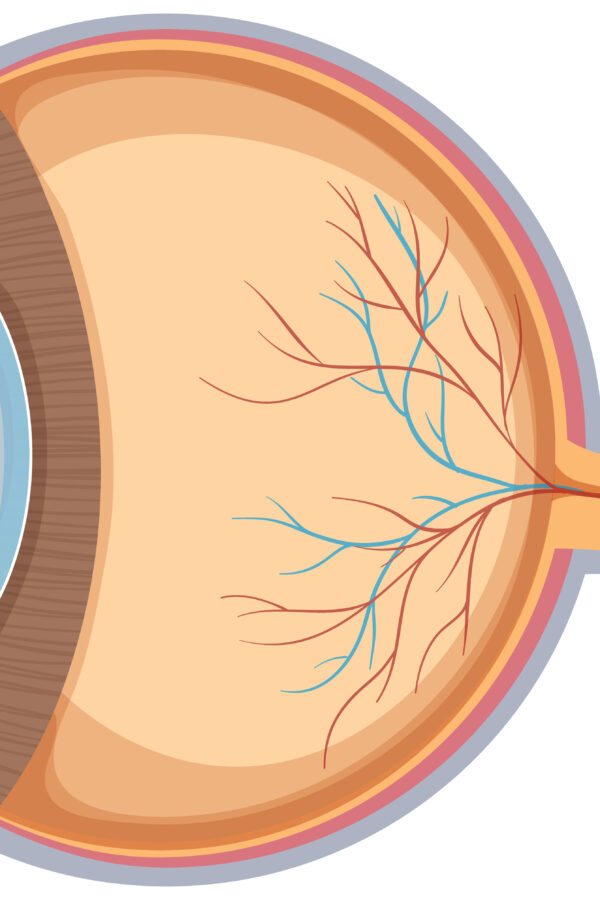 degeneração macular